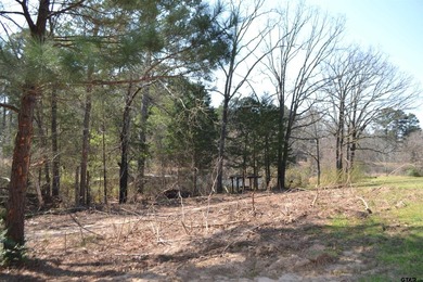 Located in Quitman, the county seat of Wood County, this - photo 16