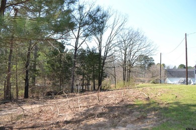 Located in Quitman, the county seat of Wood County, this - photo 17