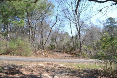 Located in Quitman, the county seat of Wood County, this - photo 18