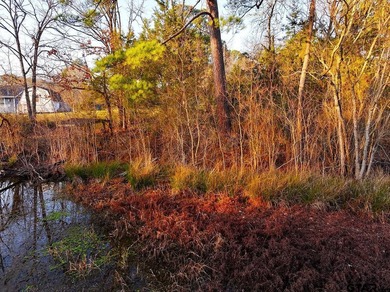Located in Quitman, the county seat of Wood County, this - photo 19