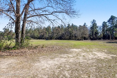 This spacious 4-bedroom, 2 bath home with a bonus room situated - photo 19