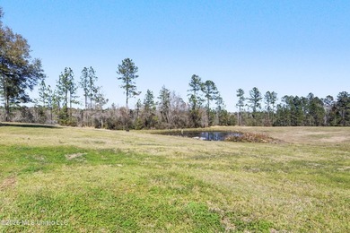 This spacious 4-bedroom, 2 bath home with a bonus room situated - photo 20