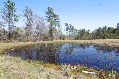 This spacious 4-bedroom, 2 bath home with a bonus room situated - photo 21