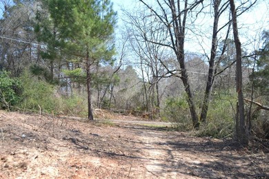 Located in Quitman, the county seat of Wood County, this - photo 22