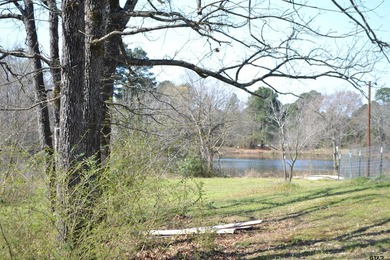 Located in Quitman, the county seat of Wood County, this - photo 25