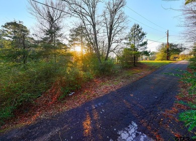 Located in Quitman, the county seat of Wood County, this - photo 26