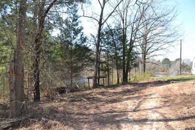 Located in Quitman, the county seat of Wood County, this - photo 30