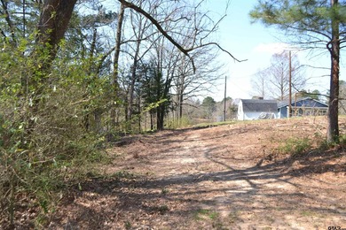 Located in Quitman, the county seat of Wood County, this - photo 31