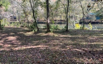 Toccoa River -Fannin County Acreage For Sale in Blue Ridge Georgia