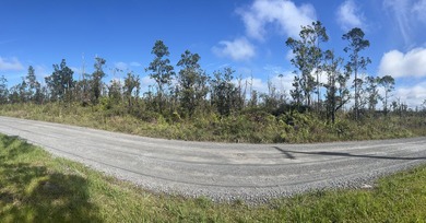 PRICE IMPROVEMENT! Only $19,000 per acre (Total 3 Acres). Don't - photo 3