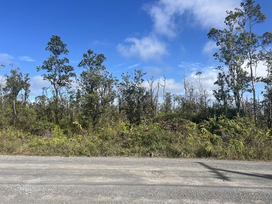 PRICE IMPROVEMENT! Only $19,000 per acre (Total 3 Acres). Don't - photo 4