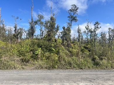 PRICE IMPROVEMENT! Only $19,000 per acre (Total 3 Acres). Don't - photo 5