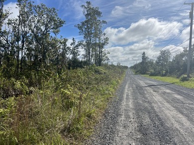 PRICE IMPROVEMENT! Only $19,000 per acre (Total 3 Acres). Don't - photo 8