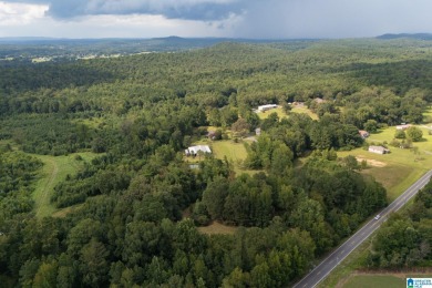 Lake Home For Sale in Odenville, Alabama