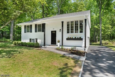 Welcome to this newly renovated bilevel, positioned perfectly on - photo 3