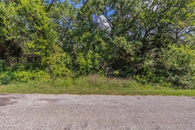 Lake Granbury Lot For Sale in Granbury Texas