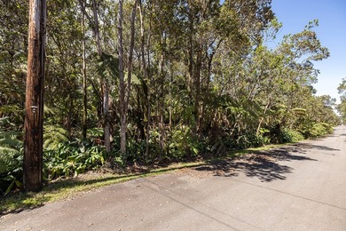 Exceptional opportunity to own vacant land in Mauna Loa Estates! - photo 3