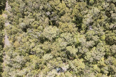 Exceptional opportunity to own vacant land in Mauna Loa Estates! - photo 4