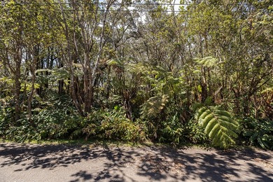 Exceptional opportunity to own vacant land in Mauna Loa Estates! - photo 5