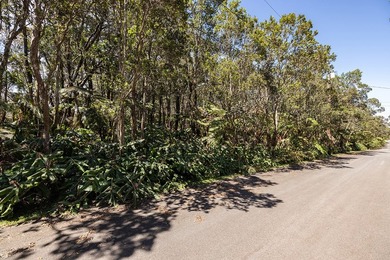 Exceptional opportunity to own vacant land in Mauna Loa Estates! - photo 6