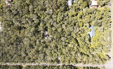 Exceptional opportunity to own vacant land in Mauna Loa Estates! - photo 7