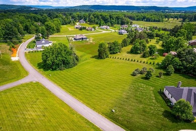 LOT 15 DEER RUN SUB. GREAT LOCATION BETWEEN SPARTA AND - photo 11
