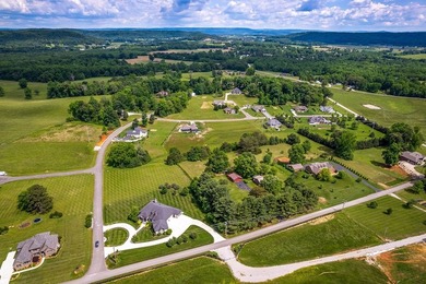 LOT 15 DEER RUN SUB. GREAT LOCATION BETWEEN SPARTA AND - photo 15