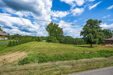 LOT 15 DEER RUN SUB. GREAT LOCATION BETWEEN SPARTA AND - photo 17