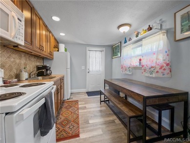 A rare investment opportunity in the heart of Yankeetown - this - photo 20