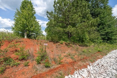 LOT 15 DEER RUN SUB. GREAT LOCATION BETWEEN SPARTA AND - photo 22