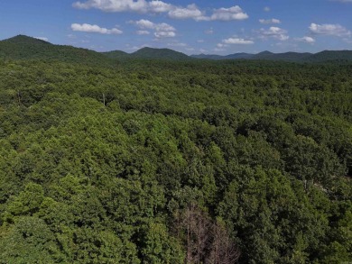 (private lake, pond, creek) Acreage For Sale in Mena Arkansas