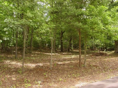 Lake Chatuge Lot For Sale in Hiawassee Georgia