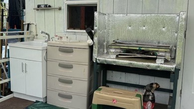 Affordable starter home, tiny cabin with Murphy bed ,accessible - photo 5