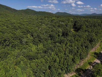 Lake Acreage For Sale in Mena, Arkansas