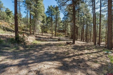 (private lake, pond, creek) Lot For Sale in Bayfield Colorado