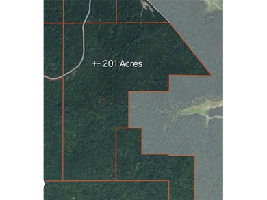 Discover an exceptional opportunity to own 201+/- acres of - photo 2