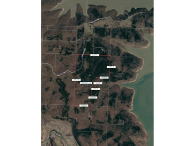 Discover an exceptional opportunity to own 201+/- acres of - photo 3
