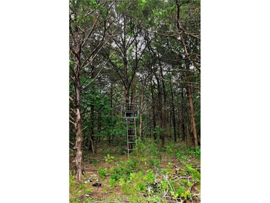 Discover an exceptional opportunity to own 201+/- acres of - photo 5