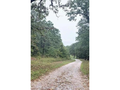 Discover an exceptional opportunity to own 201+/- acres of - photo 6