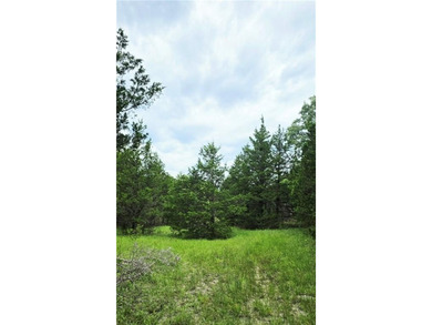 Discover an exceptional opportunity to own 201+/- acres of - photo 7