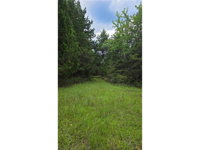 Discover an exceptional opportunity to own 201+/- acres of - photo 8