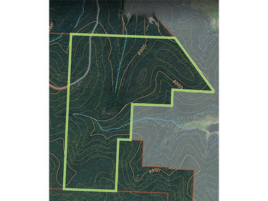 Discover an exceptional opportunity to own 201+/- acres of - photo 10