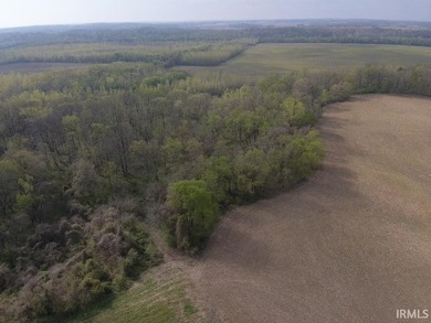 A rare Knox county land opportunity! This is an 8.12 acre - photo 11