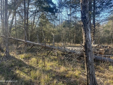 Welcome to Springwood Trail, come experience this new lakefront - photo 14