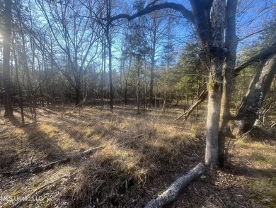 Welcome to Springwood Trail, come experience this new lakefront - photo 18