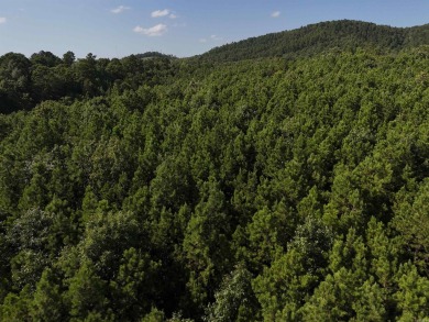 Lake Acreage For Sale in Mena, Arkansas