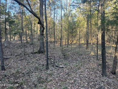 Welcome to Springwood Trail, come experience this new lakefront - photo 21