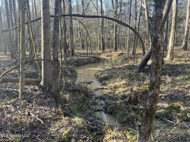 Welcome to Springwood Trail, come experience this new lakefront - photo 24
