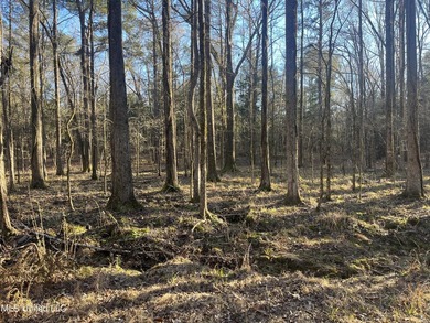 Welcome to Springwood Trail, come experience this new lakefront - photo 25