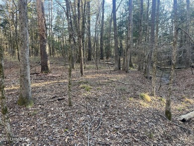 Welcome to Springwood Trail, come experience this new lakefront - photo 26